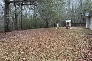 2028 Big Cypress Ln, Locust Grove, GA 30248 - Photo 23