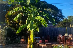 615 E 28th Ave, Cordele, GA 31015 - Photo 27