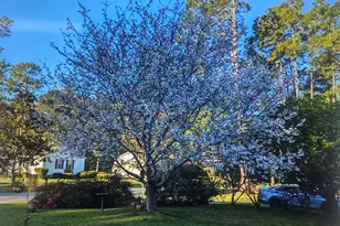 615 E 28th Ave, Cordele, GA 31015 - Photo 61