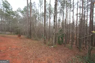 409 Reids Mill Way, Carrollton, GA 30116 - Photo 3