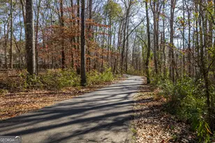 802 Agate Edge, Peachtree City, GA 30269 - Photo 51