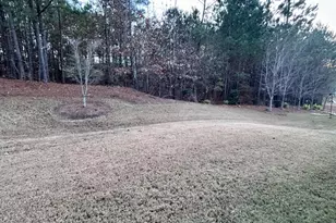 311 Honey Locust Ct, Peachtree City, GA 30269 - Photo 29