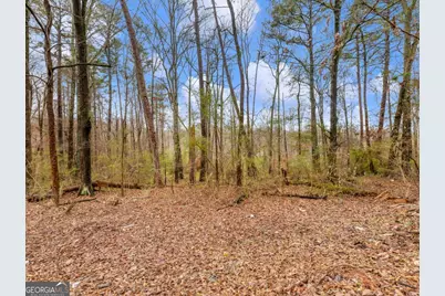 222 Lynn Road, Bethlehem, GA 30620 - Photo 41