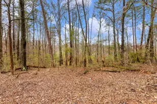 222 Lynn Rd, Bethlehem, GA 30620 - Photo 41