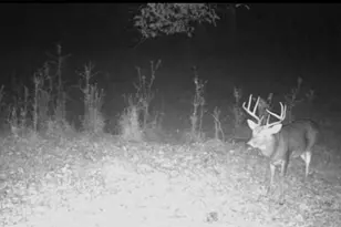 455 River Bend Rd SW, Plainville, GA 30733 - Photo 57