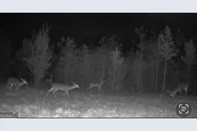 455 Riverbend Road SW, Plainville, GA 30733 - Photo 59