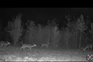 455 River Bend Rd SW, Plainville, GA 30733 - Photo 59