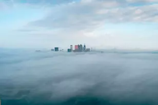 1221 Caroline St NE, Atlanta, GA 30307 - Photo 29