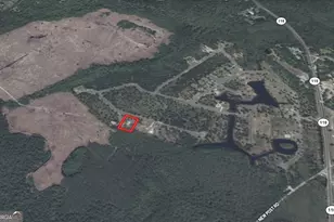 0 Big Horse Dr, Waynesville, GA 31566 - Photo 1