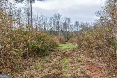 13145 Ga Highway 0315, Cataula, GA 31804 - Photo 9