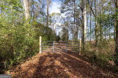 13145 Ga Highway 0315, Cataula, GA 31804 - Photo 1