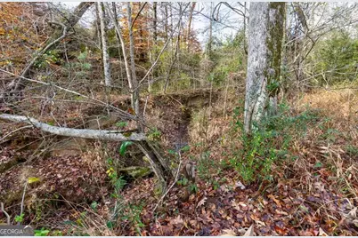 13145 Ga Highway 0315, Cataula, GA 31804 - Photo 11