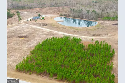 5321 Irma Lee Lane, Tarrytown, GA 30470 - Photo 19