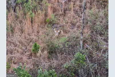 5321 Irma Lee Lane, Tarrytown, GA 30470 - Photo 37