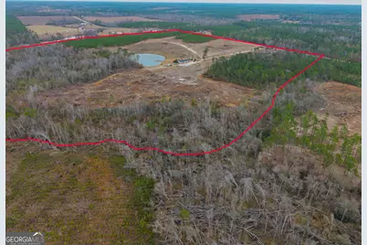 5321 Irma Lee Lane, Tarrytown, GA 30470 - Photo 15