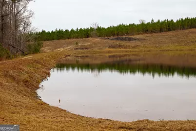 5321 Irma Lee Lane, Tarrytown, GA 30470 - Photo 31