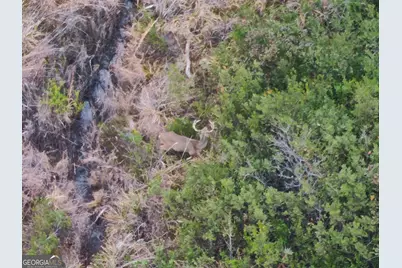 5321 Irma Lee Lane, Tarrytown, GA 30470 - Photo 3