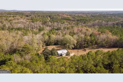 161 Calhoun Road, Hamilton, GA 31811 - Photo 47