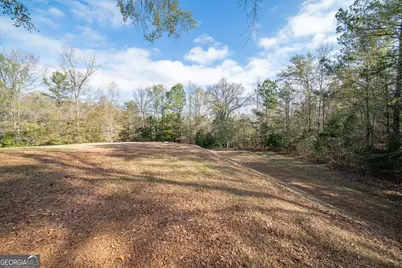 161 Calhoun Road, Hamilton, GA 31811 - Photo 13