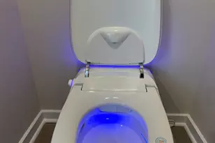 316 Bianca Way, McDonough, GA 30253 - Photo 37