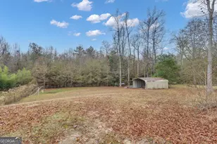 96 Courtland Rd, Brooks, GA 30205 - Photo 57