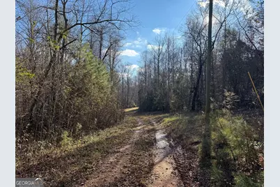 1190 James Adams Road, Danielsville, GA 30633 - Photo 5