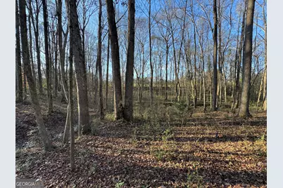 301 Collins Dudley Road, Danielsville, GA 30633 - Photo 13
