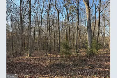 301 Collins Dudley Road, Danielsville, GA 30633 - Photo 7