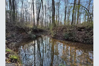 301 Collins Dudley Road, Danielsville, GA 30633 - Photo 15