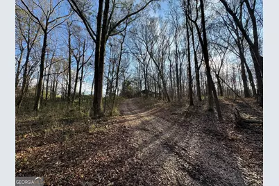 301 Collins Dudley Road, Danielsville, GA 30633 - Photo 19
