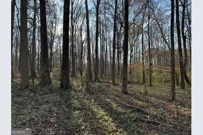 301 Collins Dudley Road, Danielsville, GA 30633 - Photo 17