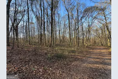 301 Collins Dudley Road, Danielsville, GA 30633 - Photo 21