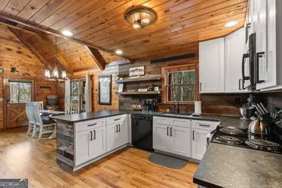 162 Little Falls Drive, Mineral Bluff, GA 30559 - Photo 7