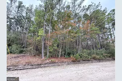 0 Raymona 10Acres Road, Brooklet, GA 30415 - Photo 1