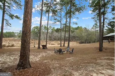 418 Oglesby Pond Lane, Portal, GA 30450 - Photo 49