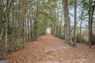418 Oglesby Pond Ln, Portal, GA 30450 - Photo 59
