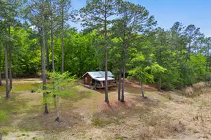 418 Oglesby Pond Ln, Portal, GA 30450 - Photo 15