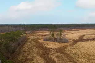 418 Oglesby Pond Ln, Portal, GA 30450 - Photo 21