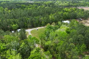418 Oglesby Pond Ln, Portal, GA 30450 - Photo 69