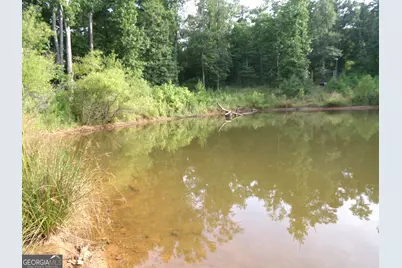 +/- 14 Acres Youth Jersey Road, Covington, GA 30014 - Photo 35