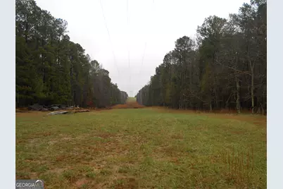 +/- 14 Acres Youth Jersey Road, Covington, GA 30014 - Photo 37