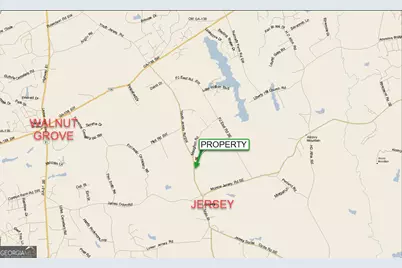 +/- 14 Acres Youth Jersey Road, Covington, GA 30014 - Photo 41