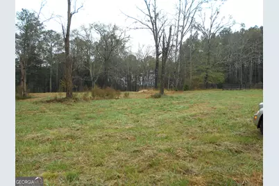 +/- 14 Acres Youth Jersey Road, Covington, GA 30014 - Photo 15