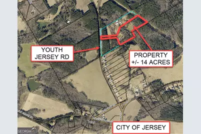 +/- 14 Acres Youth Jersey Road, Covington, GA 30014 - Photo 3
