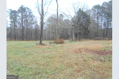 +/- 14 Acres Youth Jersey Road, Covington, GA 30014 - Photo 19