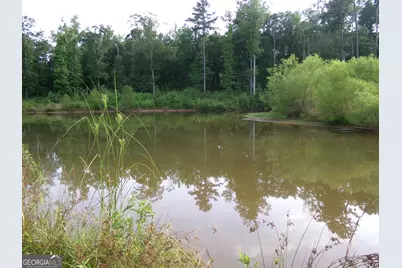 +/- 14 Acres Youth Jersey Road, Covington, GA 30014 - Photo 29