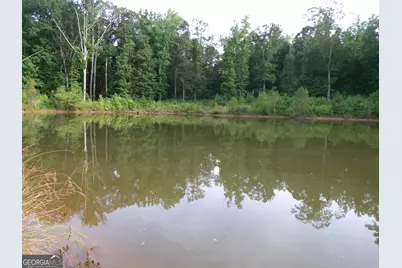 +/- 14 Acres Youth Jersey Road, Covington, GA 30014 - Photo 31