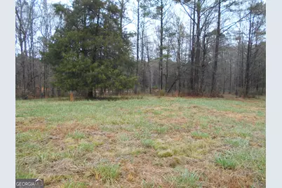 +/- 14 Acres Youth Jersey Road, Covington, GA 30014 - Photo 11