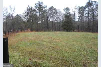 +/- 14 Acres Youth Jersey Road, Covington, GA 30014 - Photo 23