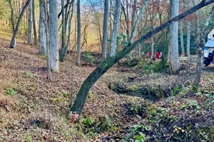 315 Greenhouse Rd, Mineral Bluff, GA 30559 - Photo 31